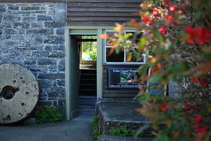 felin ganol entrance