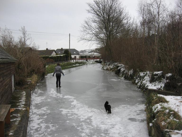 frozen pond