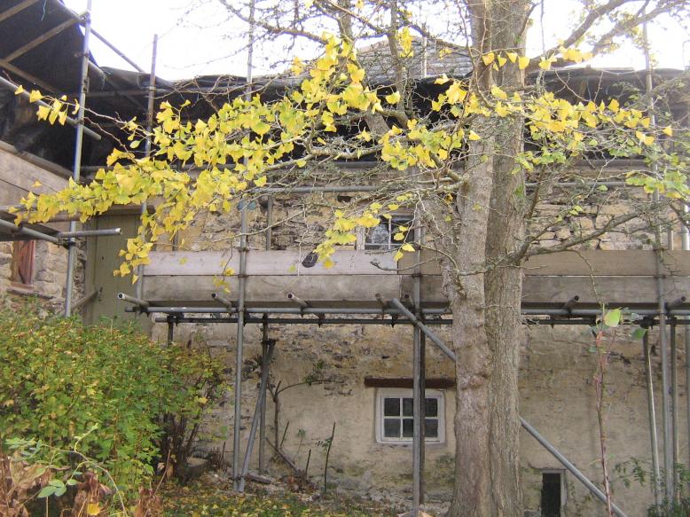 Scaffolding